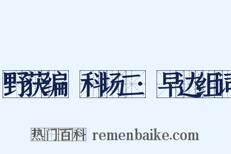 野获编·科场二·早达组词是什么意思的图片